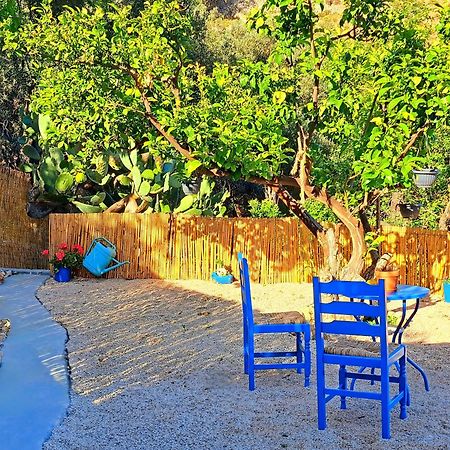 Aegean Serenity - Sea View Retreat Archangelos  Eksteriør bilde