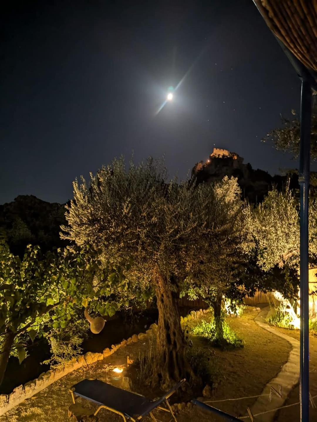 Aegean Serenity - Sea View Retreat Archangelos  Eksteriør bilde